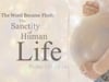 The Word Became Flesh: The Sanctity of Human Life