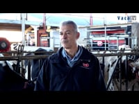 Granjas XL, más de 900 máquinas en funcionamiento