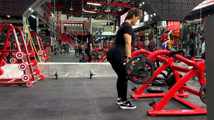 GLUTES HAMSTRINGS RDLs Shrug Machine