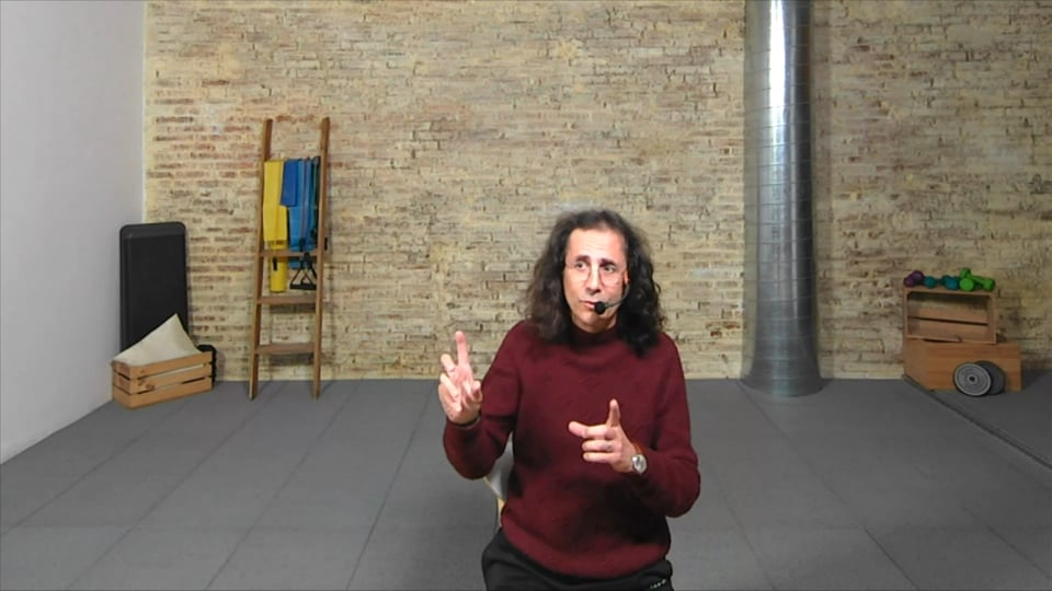 ¿Por qué las cebras no tienen úlcera?