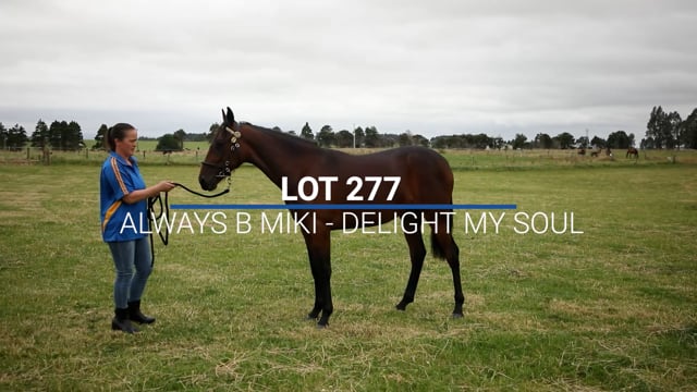 Lot 277