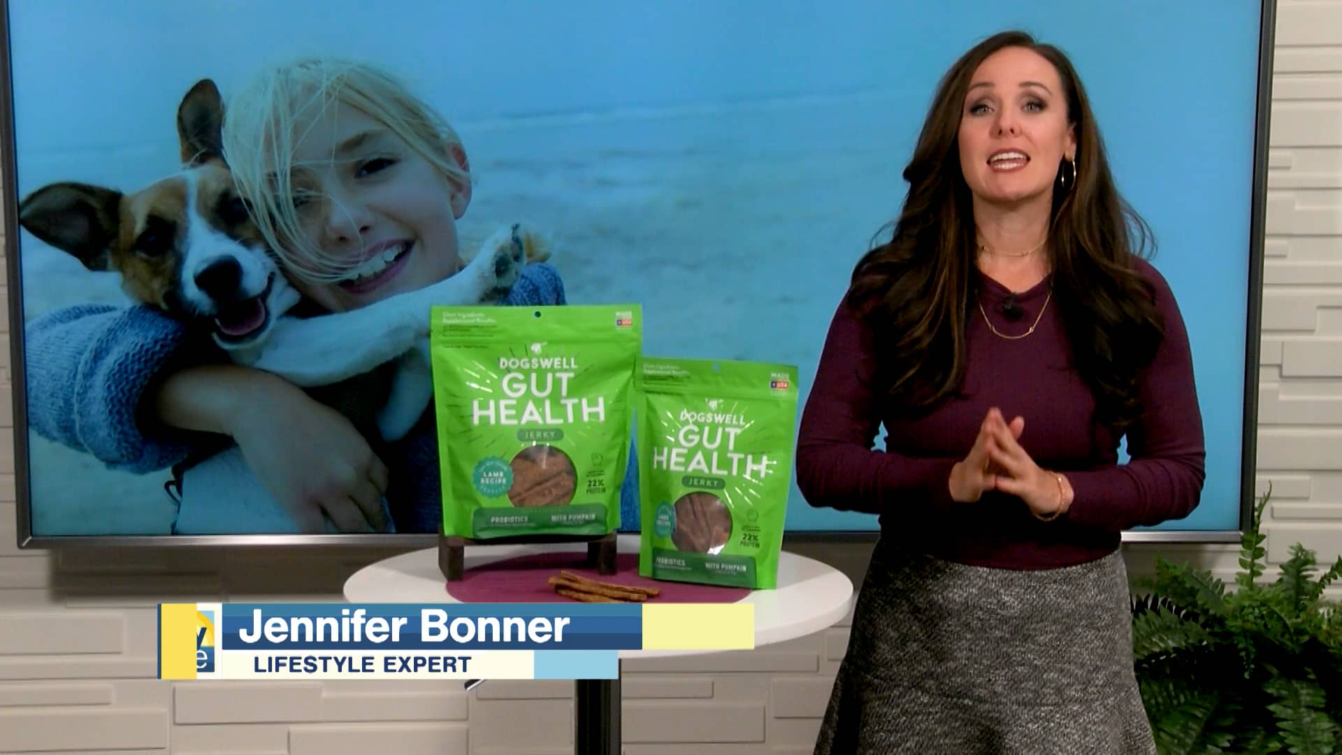 Whitebridge Pet Brands Proactive Ways to Support Your Dog’s Gut