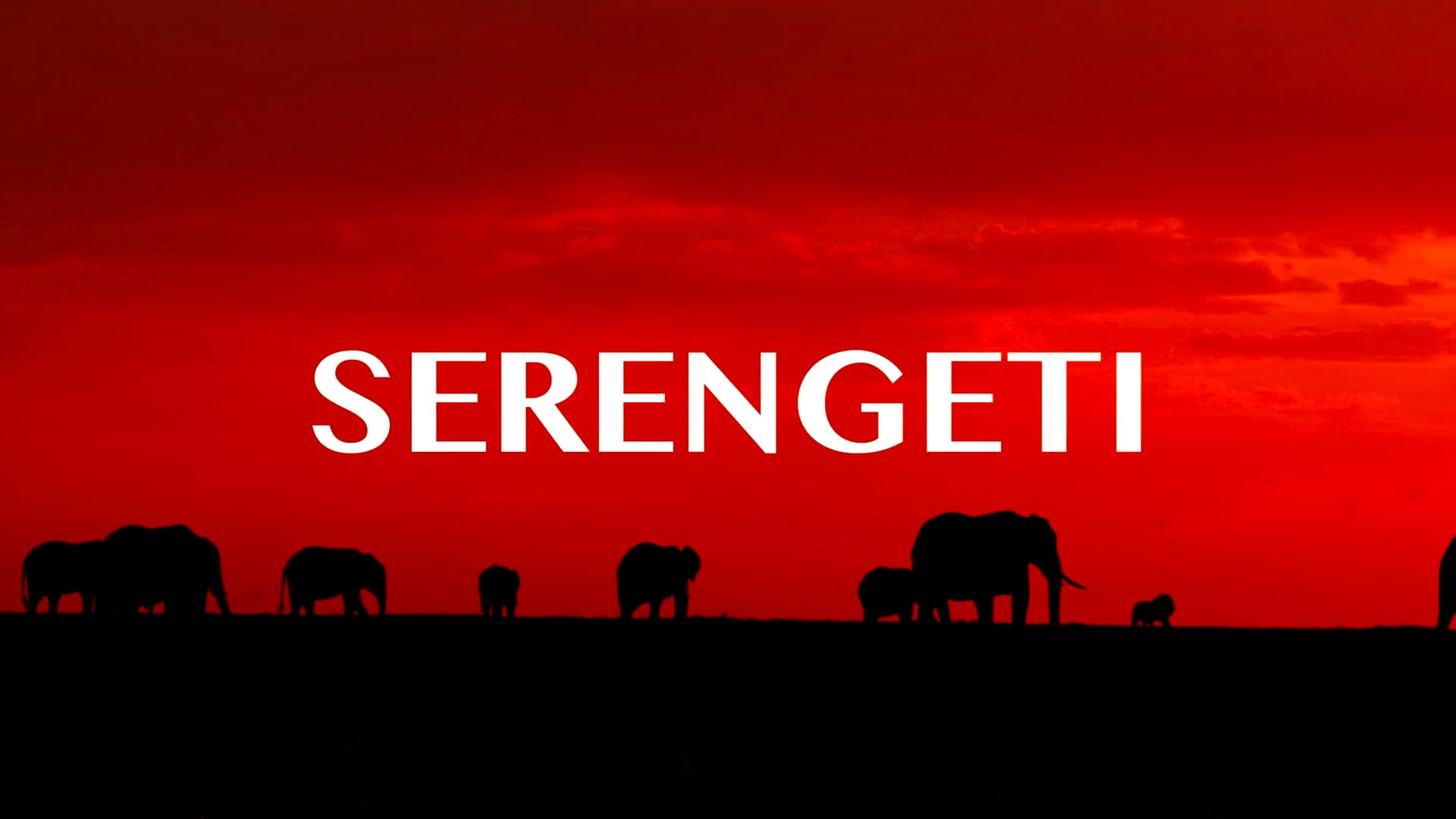 Serengeti - Teaser [1080]