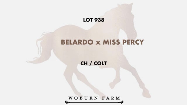 Lot 938