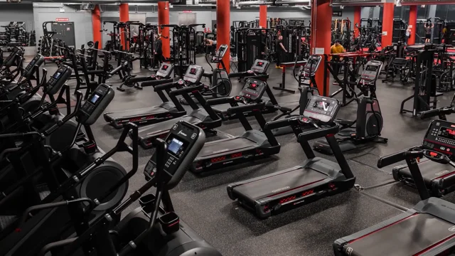 Best sustainable gym equipment brands — wellness spaces + gym consultants