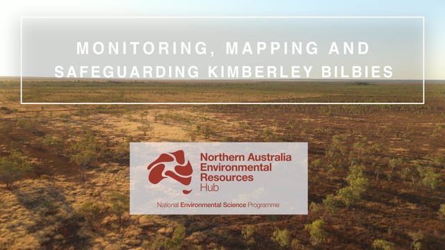 Monitoring, mapping and safeguarding Kimberley bilbies (impact video)