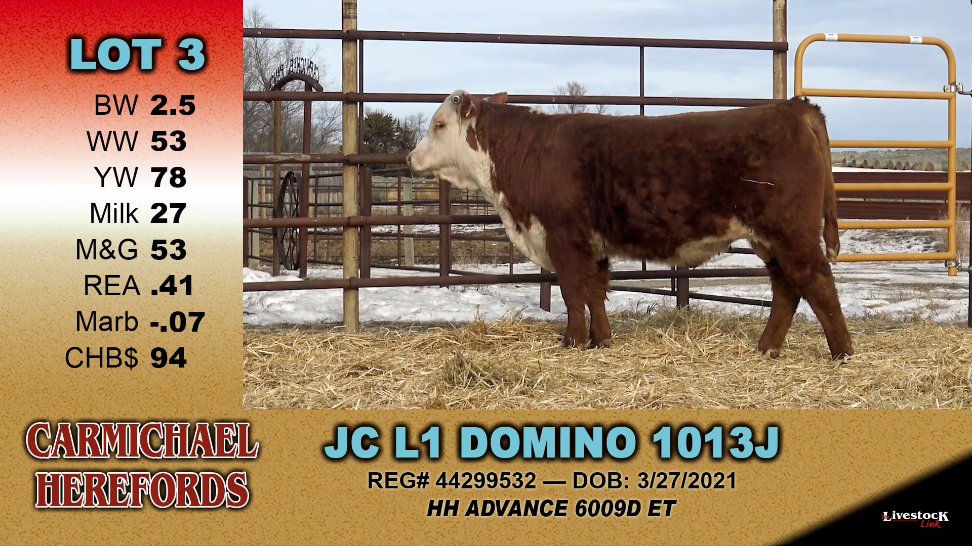Carmichael Herefords - Lot 3