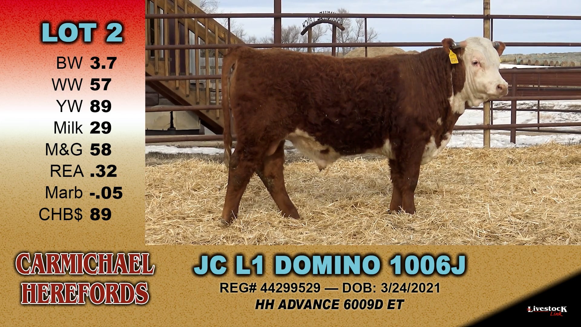 Carmichael Herefords - Lot 2