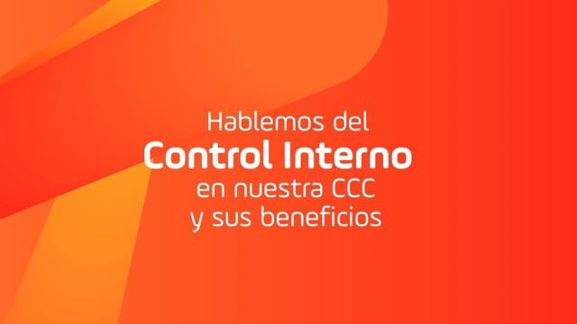 Renovación control interno