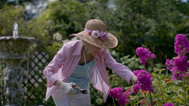 Patience and perfection. Trimming the flowers in a splendid garden. Retired senior woman gardening. 