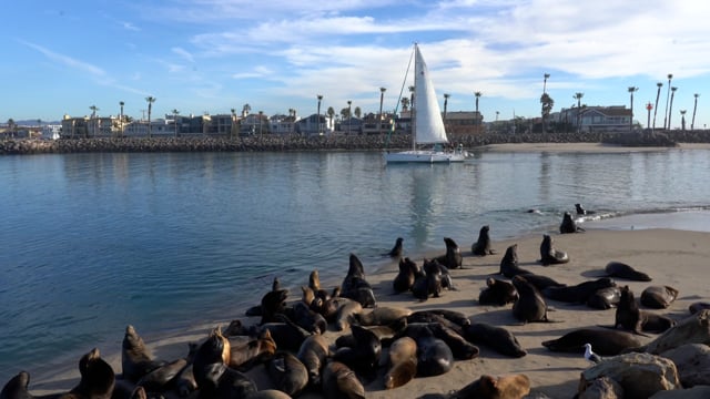 Oxnard Harbor Bike Ride.mp4