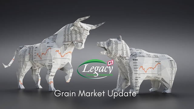 Grain Market Update - 1/25/22