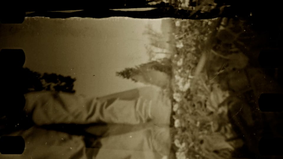 Pinhole Park