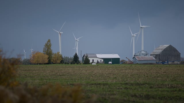 Windmills generating clean green energy built on  expansive farmland. 