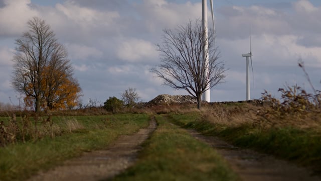 A field full of green energy windmills with a rural dirt road running through it. 