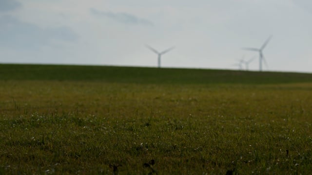 A vast green field with clean energy windmills peppering the horizon. 