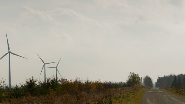 A dirt road accompanies a fleet of clean green energy windmills. 