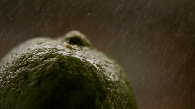 Macro shot of a juicy oraganic lime being sprayed.