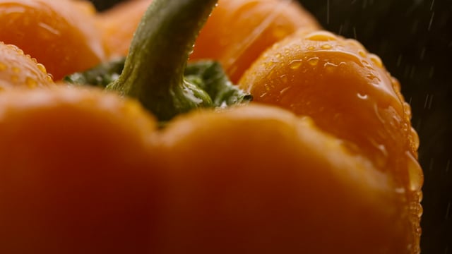 A hearty organic pepper is misted with water in slow motion. 