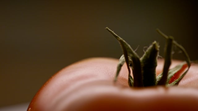 Macro shot of a plump juicy organic tomato.