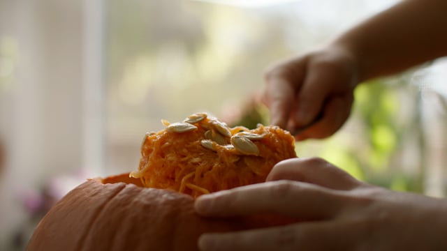 Hollowing out the guts of a pumpkin, getting ready to carve for Halloween. 