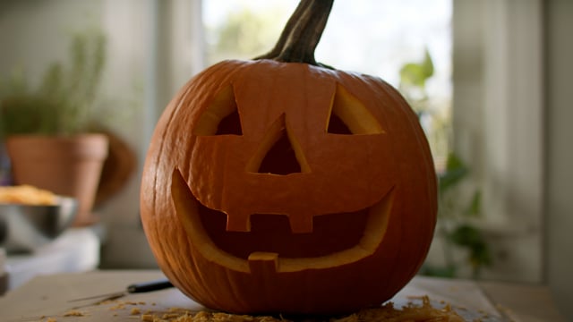 A freshly carved jack-o-lantern pumpkin prepared for Halloween. 