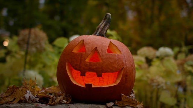 A freshly carved jack-o-lantern pumpkin on display for Halloween. 