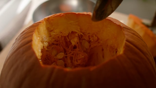Hollowing out the guys of a pumpkin, getting ready to carve. 
