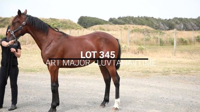 Lot 345