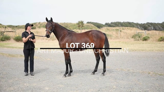 Lot 369
