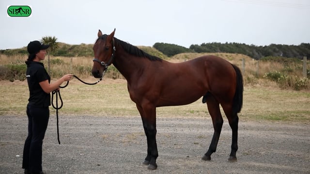 Lot 413