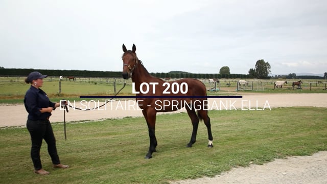 Lot 200
