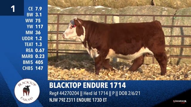 Lot #1 - BLACKTOP ENDURE 1714