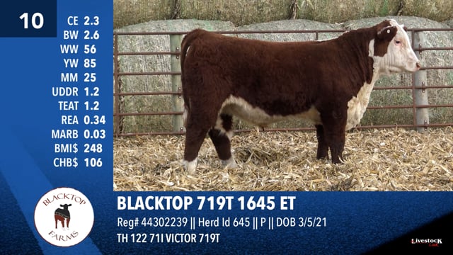 Lot #10 - BLACKTOP 719T 1645 ET