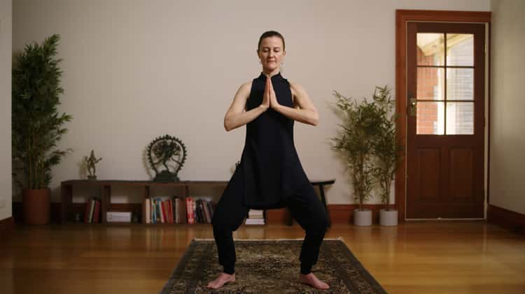 Ananda Yoga Instructional Videos 
