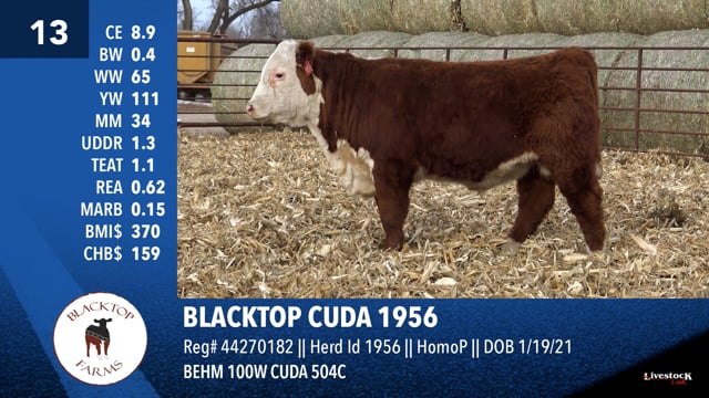 Lot #13 - BLACKTOP CUDA 1956