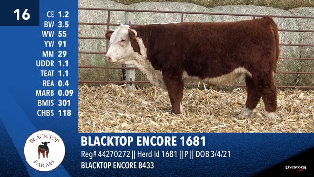 Lot #16 - BLACKTOP ENCORE 1681