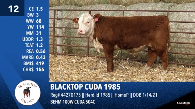 Lot #12 - BLACKTOP CUDA 1985