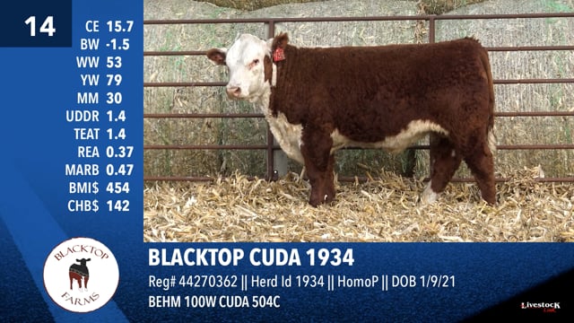 Lot #14 - BLACKTOP CUDA 1934