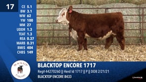 Lot #17 - BLACKTOP ENCORE 1717