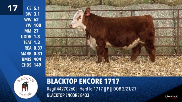 Lot #17 - BLACKTOP ENCORE 1717