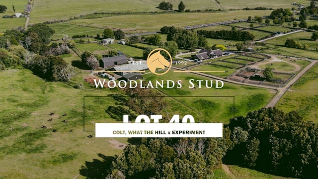 Lot 40
