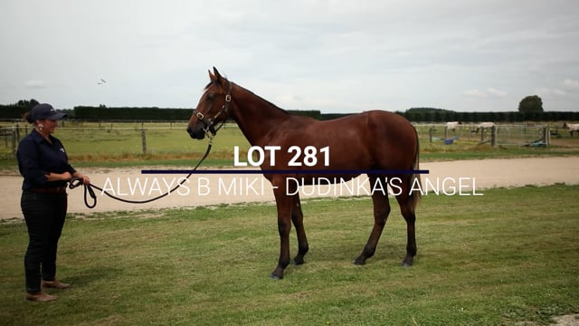 Lot 281