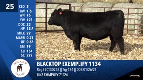 Lot #25 - BLACKTOP EXEMPLIFY 1134