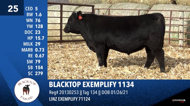 Lot #25 - BLACKTOP EXEMPLIFY 1134