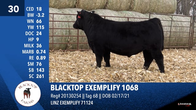 Lot #30 - BLACKTOP EXEMPLIFY 1068