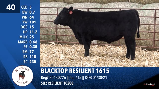 Lot #40 - BLACKTOP RESILIENT 1615