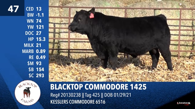 Lot #47 - BLACKTOP COMMODORE 1425