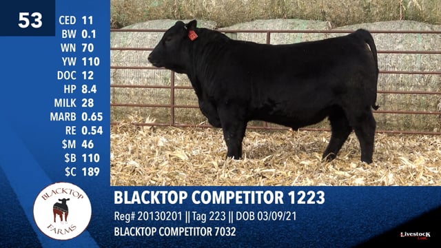 Lot #53 - BLACKTOP COMPETITOR 1223
