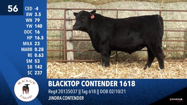 Lot #56 - BLACKTOP CONTENDER 1618